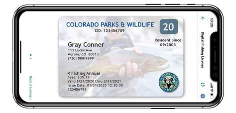 one-day fishing license colorado|Hunting and Fishing Licenses .